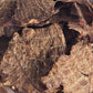 Dehydrated Beef Strips